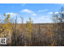 212 Grandisle Pt Nw, Edmonton, AB T6M2P1 Photo 48