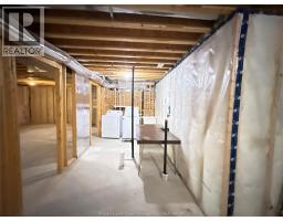 117 Reed Street, Essex, ON N8M2X6 Photo 27