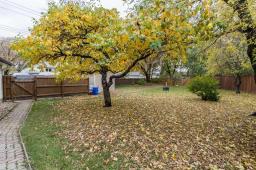 446 Dowling Avenue E, Winnipeg, MB R2C3M5 Photo 27