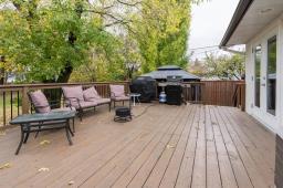 446 Dowling Avenue E, Winnipeg, MB R2C3M5 Photo 29