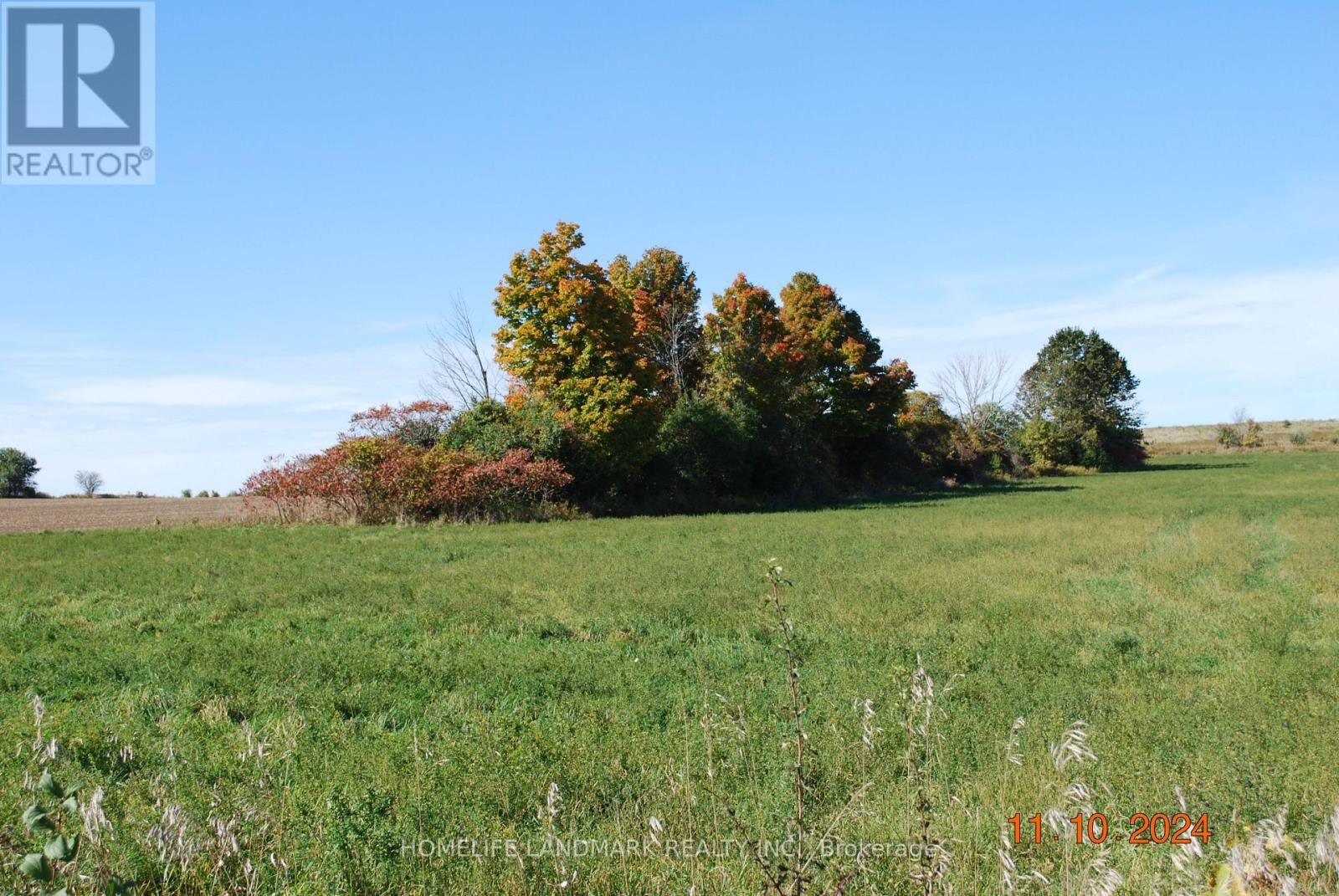 3548 Concession Road 7 Road, Clarington, ON photo 5
