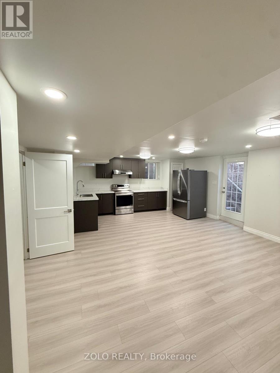 BASEMENT - 21 CATTAIL CRESCENT, Hamilton (Waterdown) — photo 10