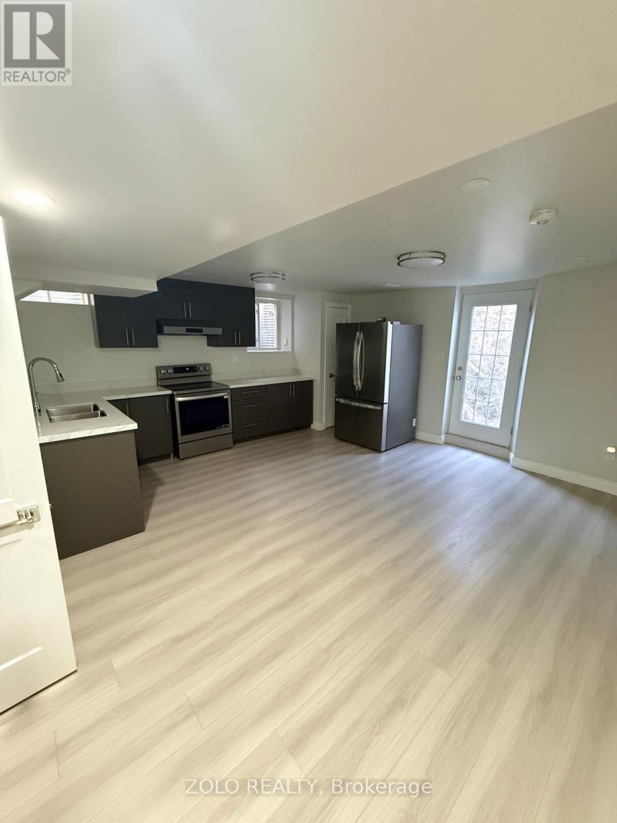 BASEMENT - 21 CATTAIL CRESCENT, Hamilton (Waterdown) — photo 2