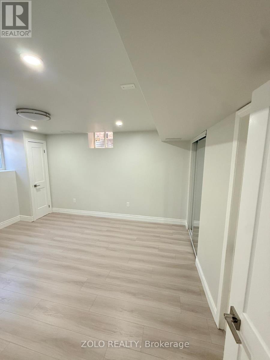 BASEMENT - 21 CATTAIL CRESCENT, Hamilton (Waterdown) — photo 4
