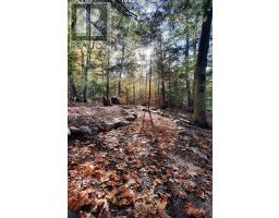 102 & 110 Mcvicar Lane, Mcnab/braeside, ON K0A3L0 Photo 41