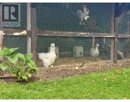 24 Farm Road thumbnail 15