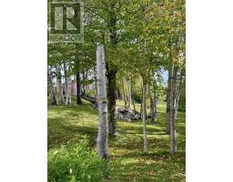 24 Farm Road thumbnail 22