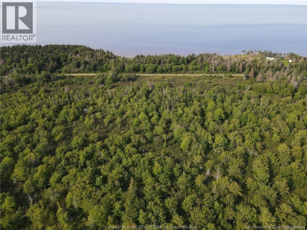 Lot 23-02 Route 955 photo 4