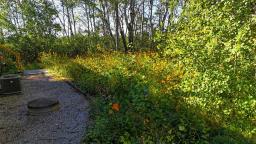 170 Central Road, Onanole, MB R0J1N0 Photo 37