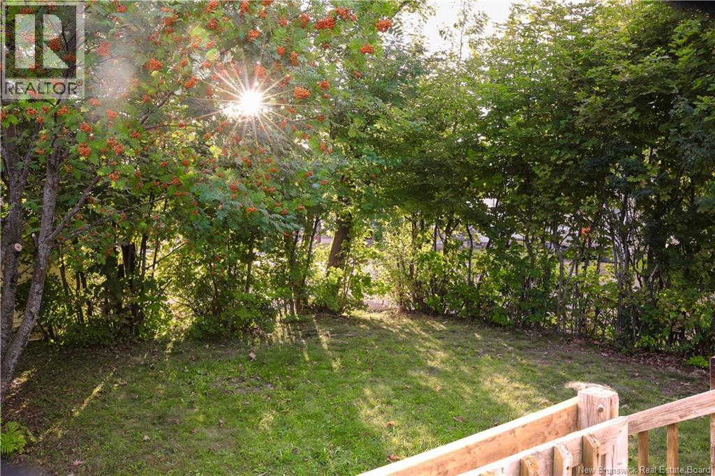 58 Shirley Avenue - 47