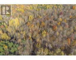 Pt Lt 140 & 141 Colonel Talbot Road, Norfolk, ON N4G4G9 Photo 17