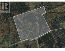 100 Acres Mitchell Swan Road, Millbrook, NS B0K1V0 Photo 7