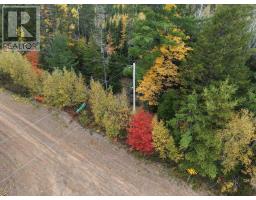 100 Acres Mitchell Swan Road, Millbrook, NS B0K1V0 Photo 6