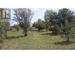 719 Ireland Road, Merrickville Wolford, ON K0G1G0 Photo 42