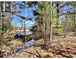 25 Dawson Lane, St  Croix, NS B0N2E0 Photo 47