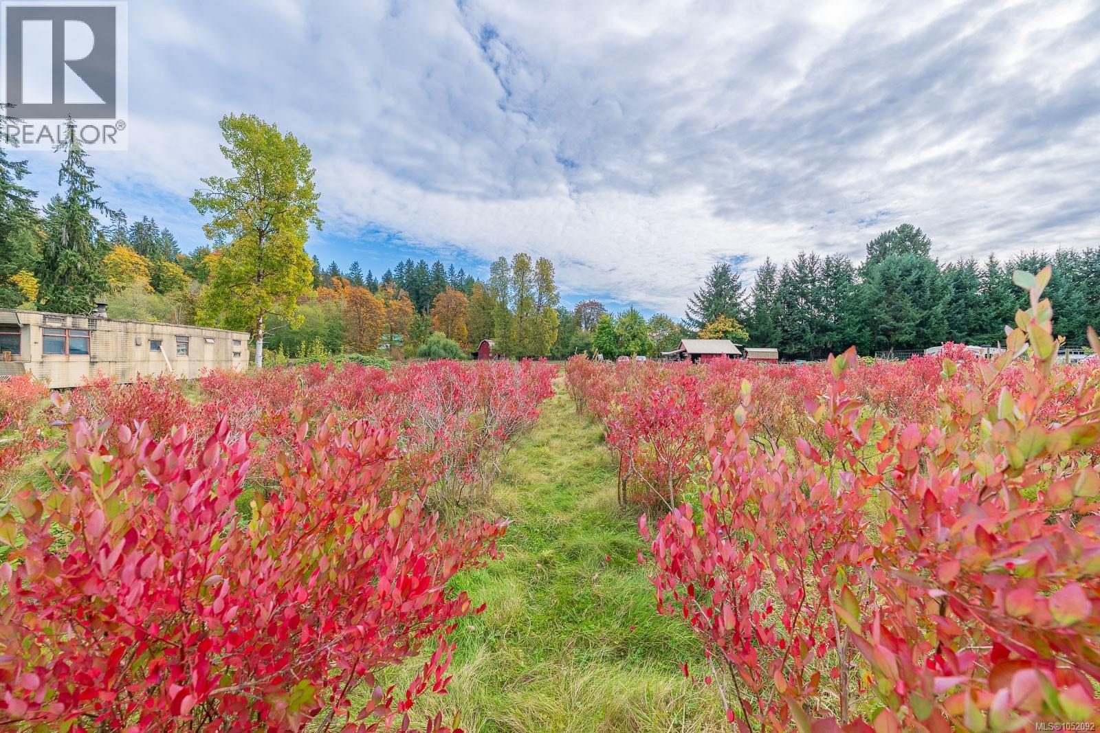 6211 Ferguson Rd, Port Alberni - Image 1