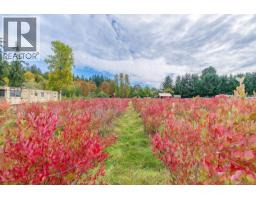 6211 Ferguson Rd, Port Alberni, BC V9Y8L4 Photo 9