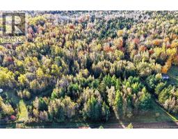 Lot 20-3 Shediac River Rd, Saint Philippe, NB E1H1R9 Photo 16