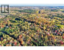 Lot 20-3 Shediac River Rd, Saint Philippe, NB E1H1R9 Photo 12