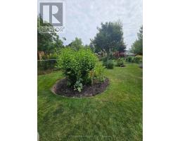 Bsmt - 285 Fiona Terrace, Mississauga, ON L5A3E5 Photo 18
