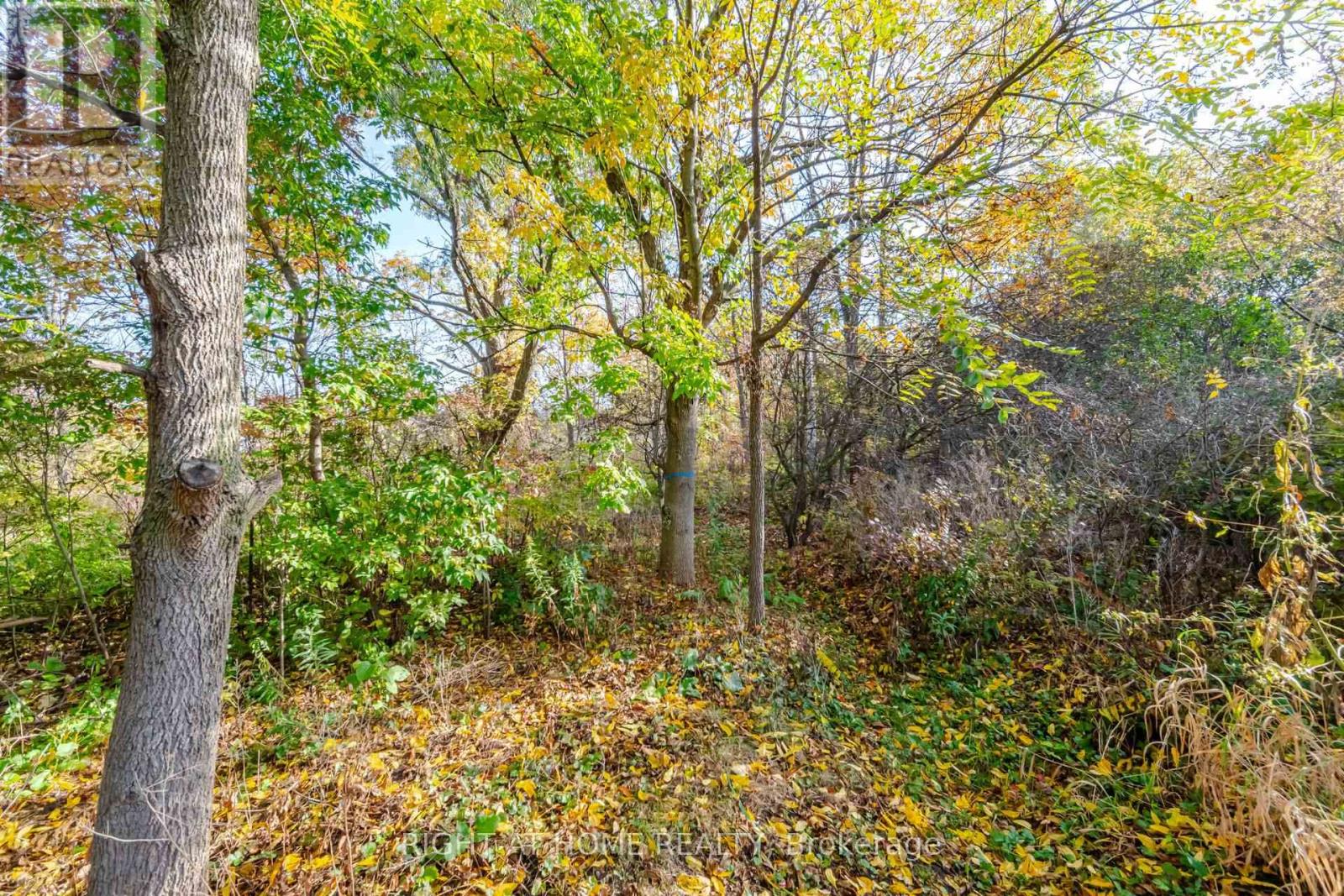 4089 Medland Drive, Burlington, ON photo 49