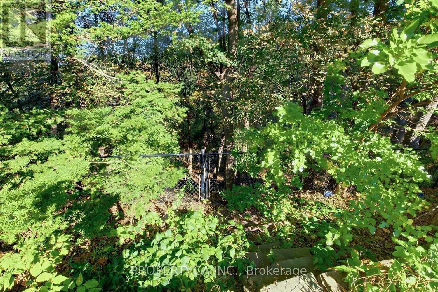 54 Baby Point Road — photo 42
