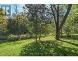 7 Moore Avenue, Adjala Tosorontio, ON L0M1J0 Photo 32