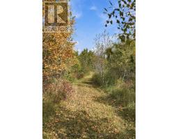764059 240 Side Road, Melancthon, ON L9V2P4 Photo 36