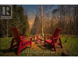 3428 County Rd 620, North Kawartha, ON K0L1A0 Photo 34