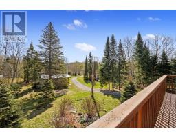 3428 County Rd 620, North Kawartha, ON K0L1A0 Photo 31