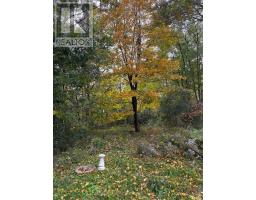 4621 Ellerbeck Road, Frontenac, ON K0H1V0 Photo 43