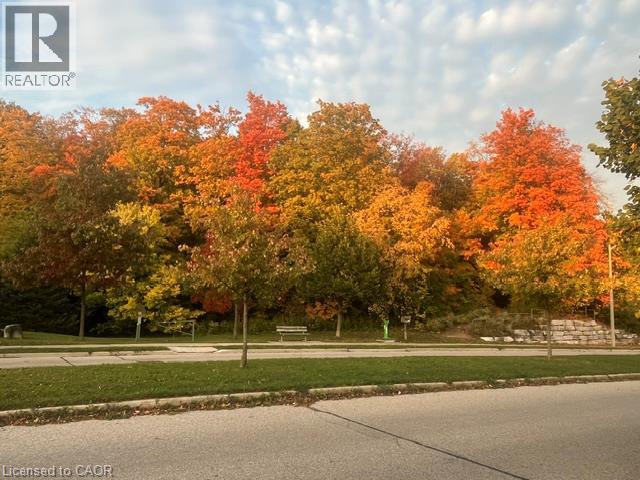 559 Springwater Drive — photo 47