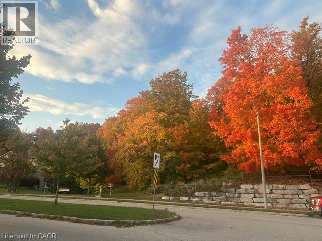 559 Springwater Drive — photo 46