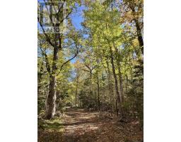 127 Ponhook View Drive, Labelle, NS B0T1E0 Photo 36