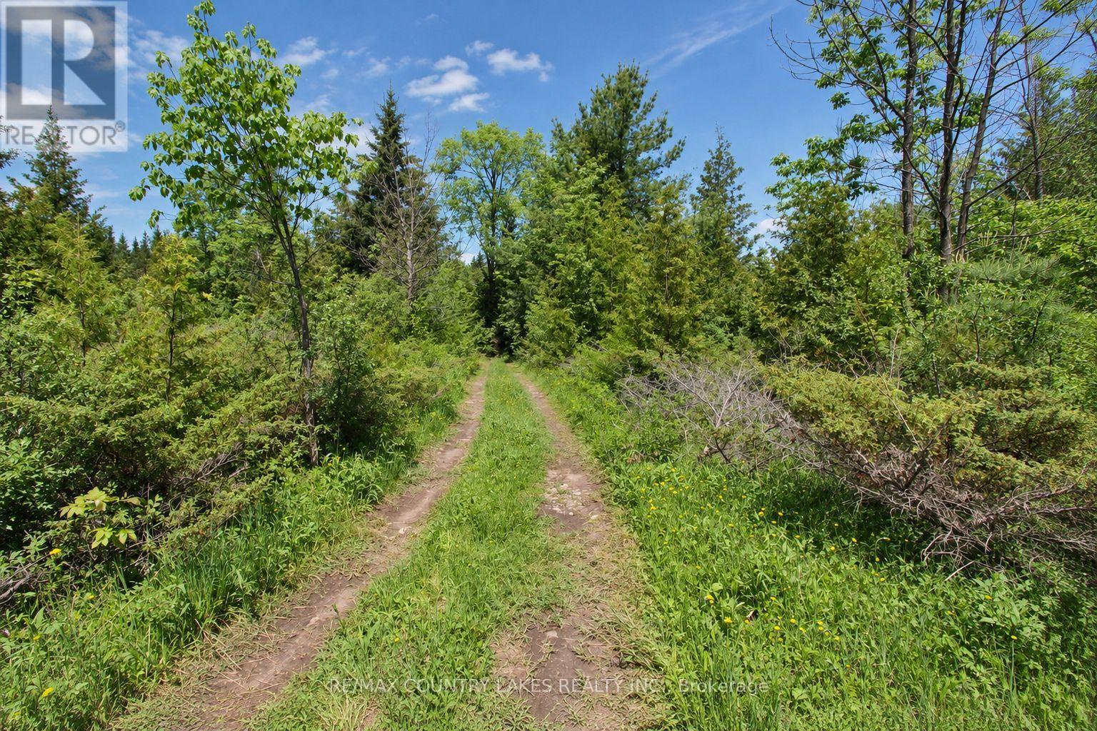 Lt25 Ramblewood Trail — photo 12
