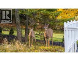 27 Cove Crescent, Rothesay, NB E2E5C6 Photo 40
