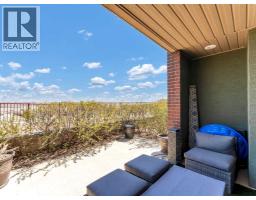 16 Palisades Mews Ne, Medicine Hat, AB T1C2B5 Photo 35