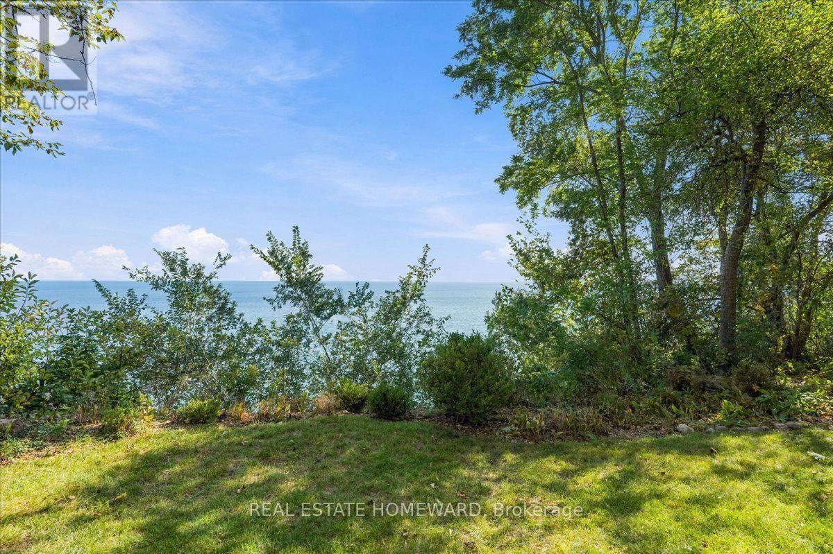 35 Springbank Avenue, Toronto, ON photo 8
