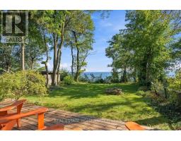 35 Springbank Avenue, Toronto, ON M1N1G2 Photo 40