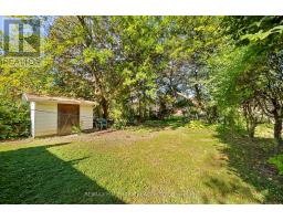 50 Connaught Avenue, Toronto, ON M2M1G8 Photo 22