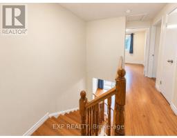 36 Scribner Court, Brampton, ON L6Z1M6 Photo 15