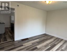 248 Munroe Avenue Extension, Westville Road, NS B2H2J6 Photo 11