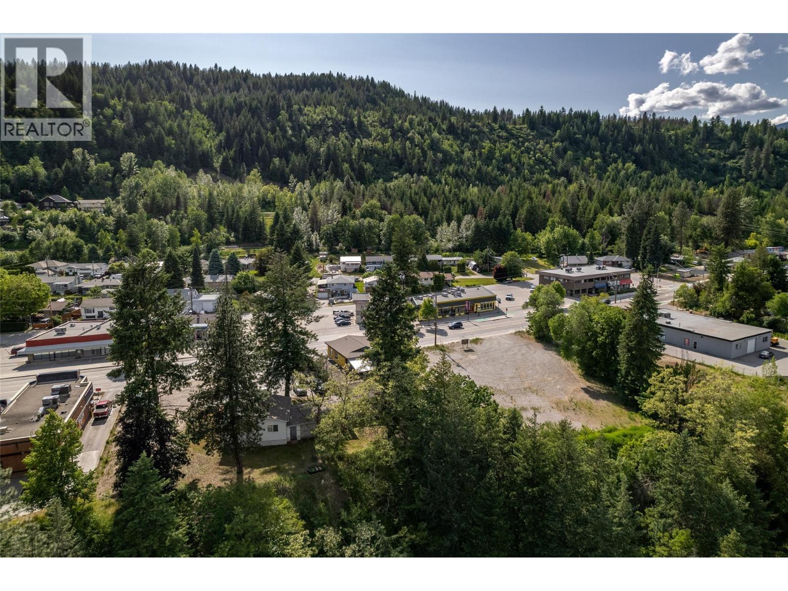  1451 Columbia Avenue, Castlegar - Image 1