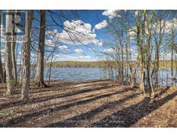 28 Timcourt Drive, Tiny, ON L9M0B9 Photo 38