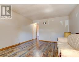 Recreational, Games room - 41 Greenleaf Crescent, Brampton, ON L6X2V5 Photo 7