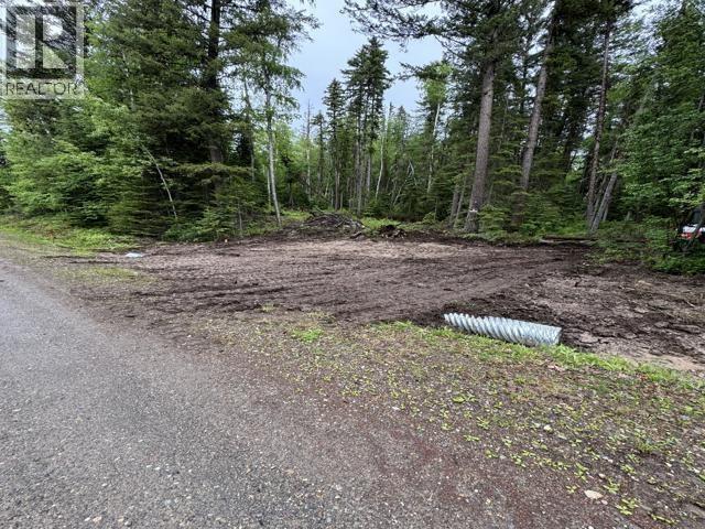  22060 COTTAGE Crescent, Prince George - Image 1