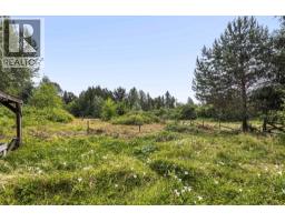13432 224 Street, Maple Ridge, BC V4R2P6 Photo 26