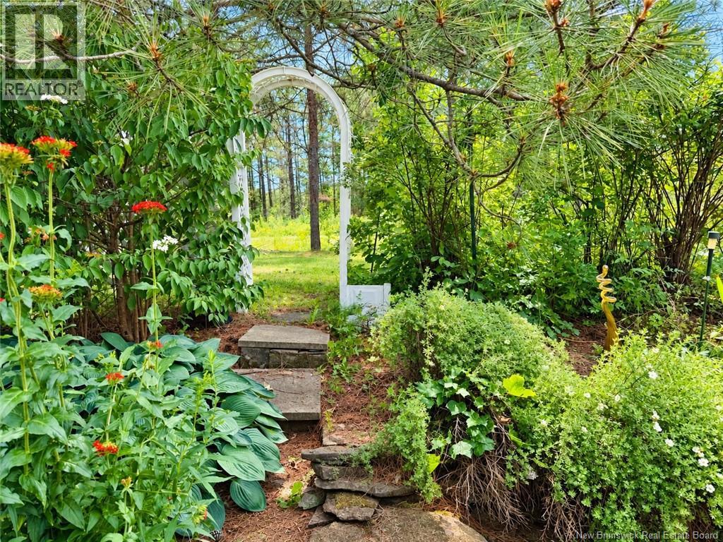 21 Horton Creek Road - 7