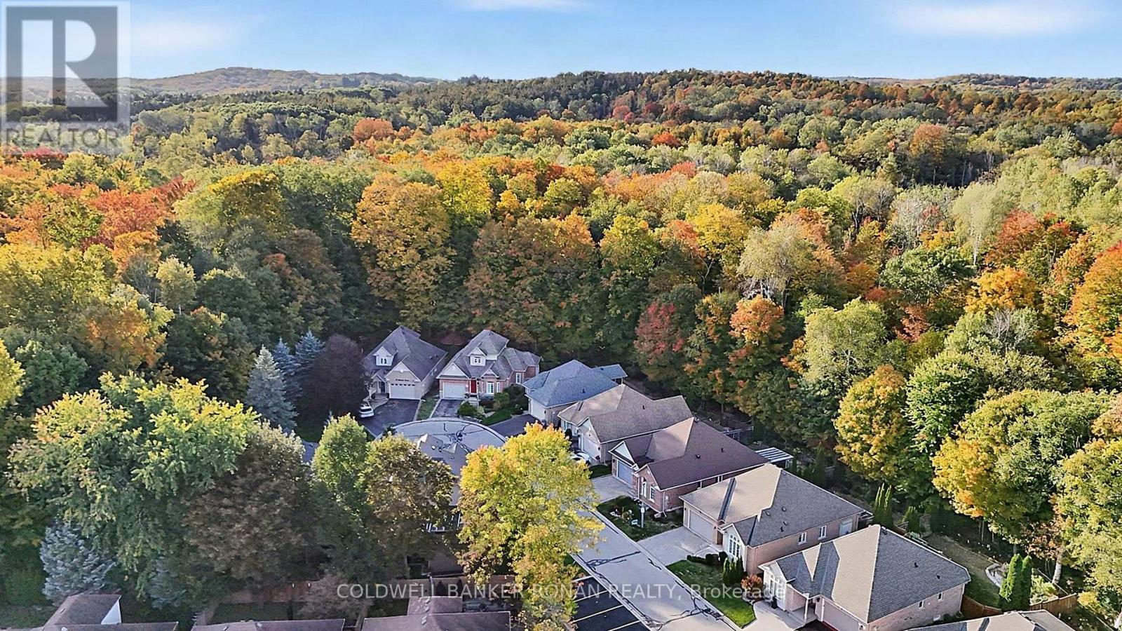 5 Hilliard Court — photo 41
