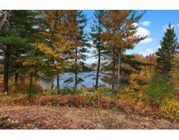 25 Ch. Du Lac-murray, Otter Lake, QC J0X2P0 Photo 38